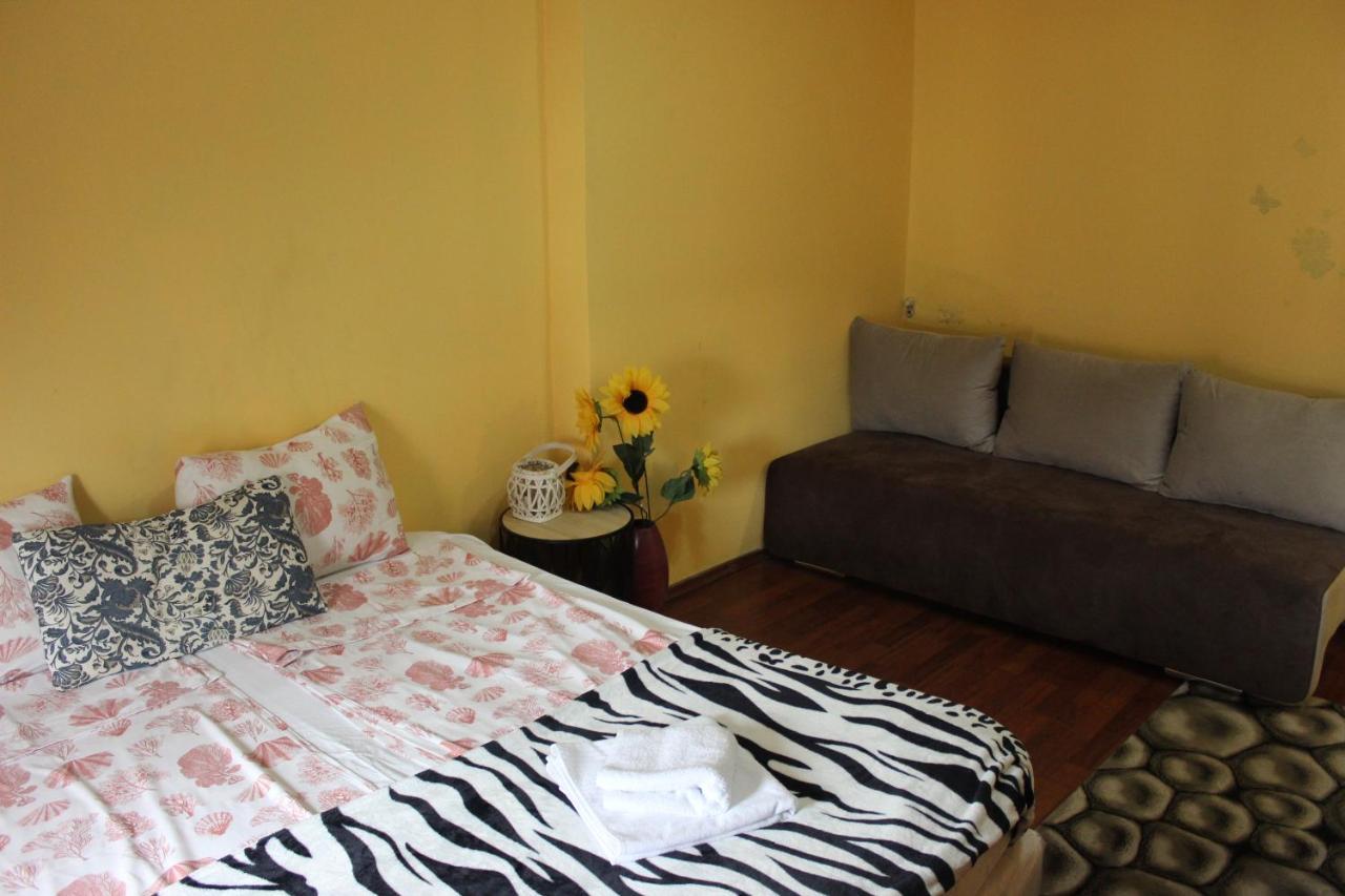 Vitoshka Biggest Apartment София Экстерьер фото